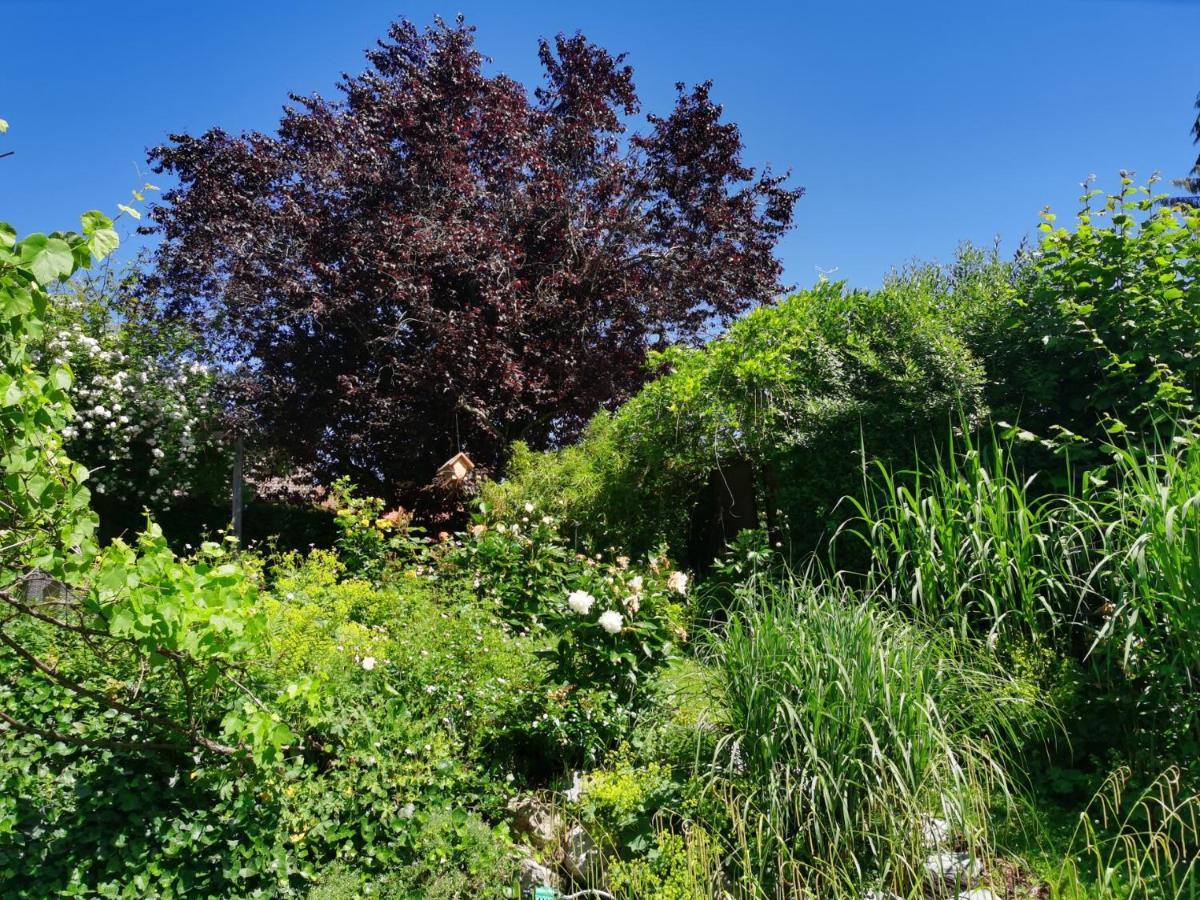 Apartamento Naehe Spieleland Vogt Exterior foto